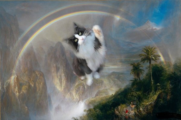 Лунный кот арт