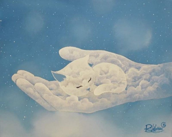 Котенок на облачке