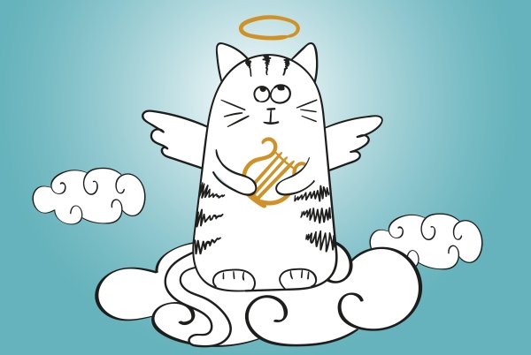 Кошечки на облаках