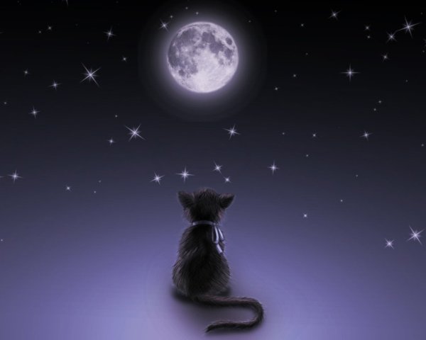 Души животных на радуге