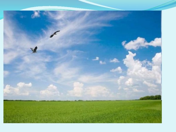 Соловей в полете