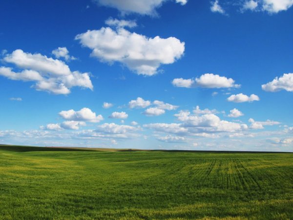 Голубое небо Горизонт