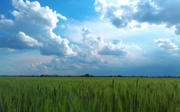 Голубое небо Горизонт