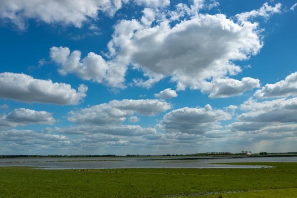 Купол небосвода