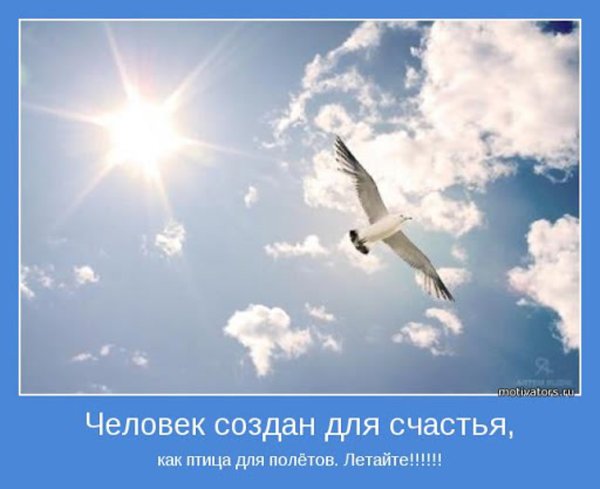 Фразы про полет