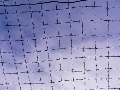 Небо в клетку