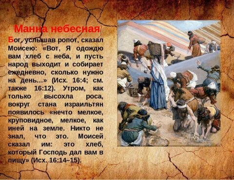 Манна Небесная раскраска