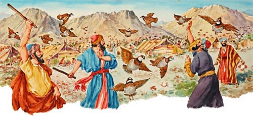 Манна Небесная