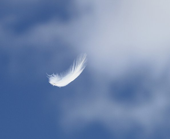 Перья летят