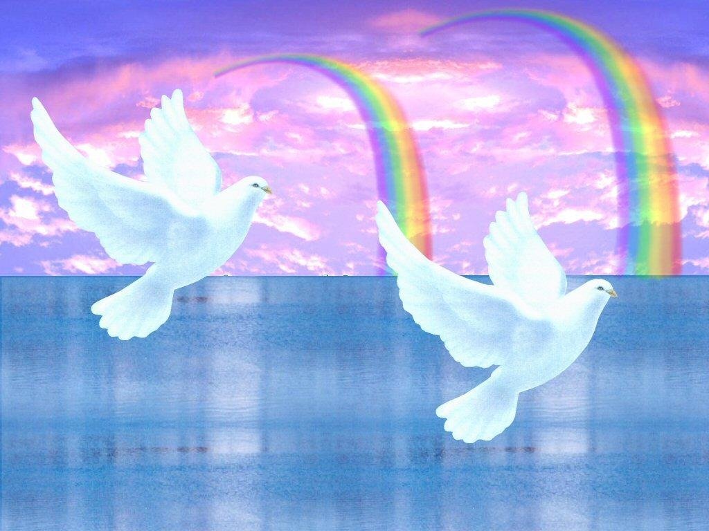Мир над головой. Голуби в небе. Голубь и Радуга. Птицы на фоне радуги. Голубь картина.