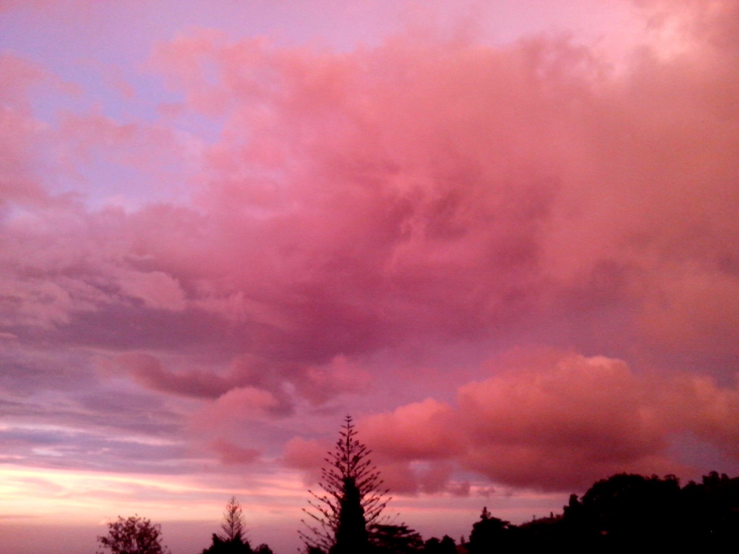 Фон розовое небо (69 фото)
