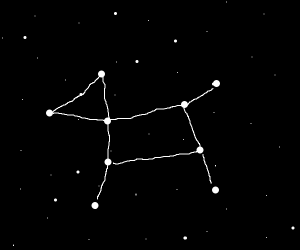 Созвездие волка