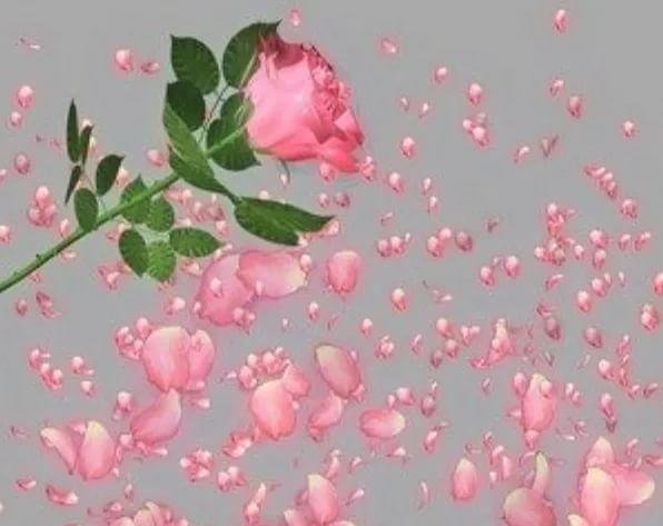 Падающие лепестки цветов