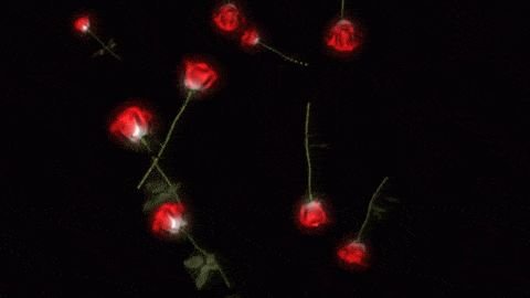 Падающие розы анимация