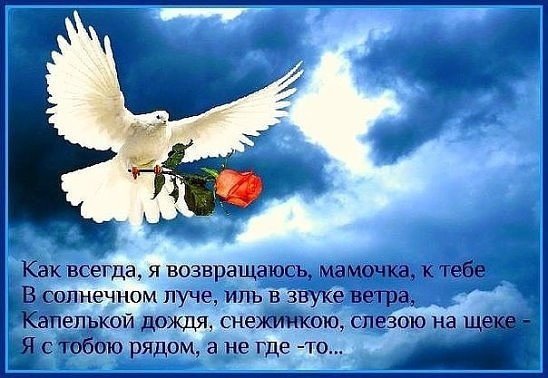 Скорбь по детям