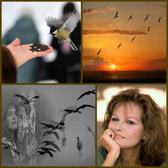 Синица в руках или журавль