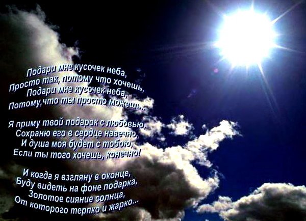 Орел в небе