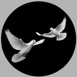 Голуби на памятнике гравировка