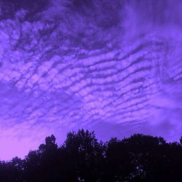 Пурпурный закат