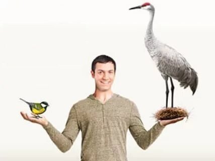 Лучше синица