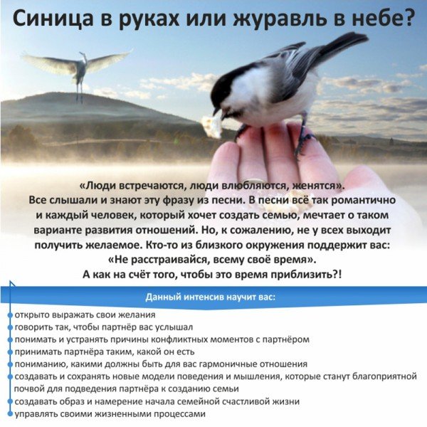 Карикатура синица в руках журавль в небе