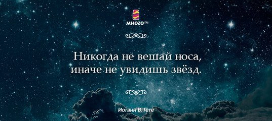 Высказывания о звездах