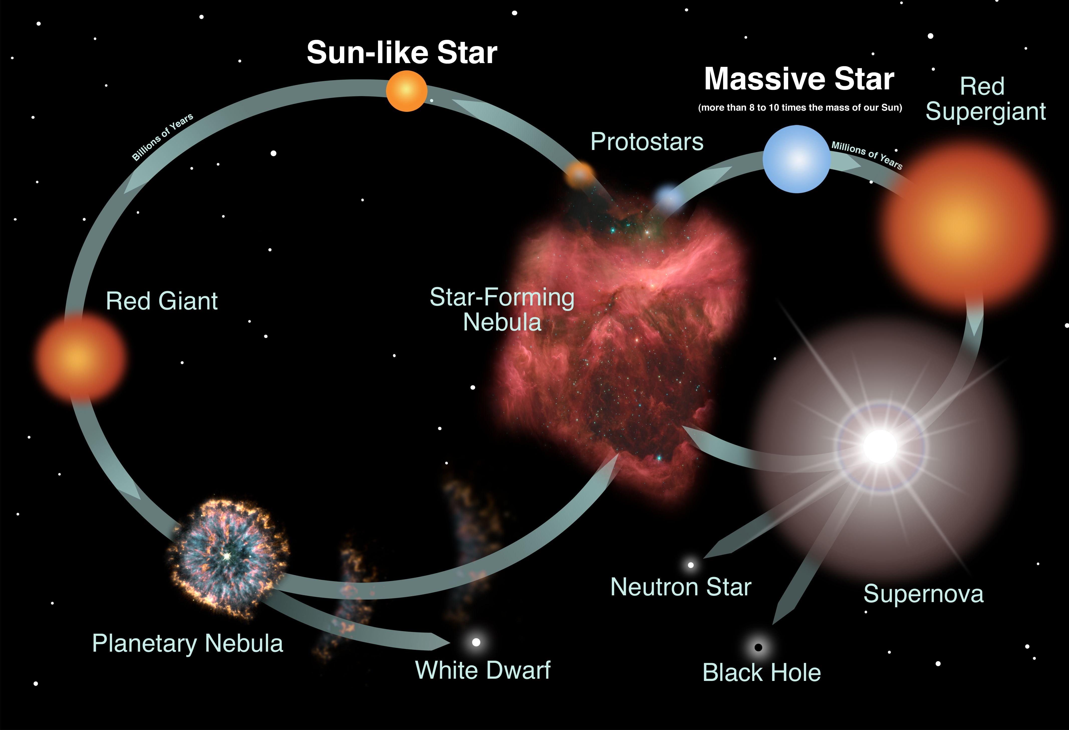 Путь жизни звезды. Жизненный цикл звезды схема. Этапы эволюции звезд схема. Жизненный цикл звезд главной последовательности. Стадии развития звезды.