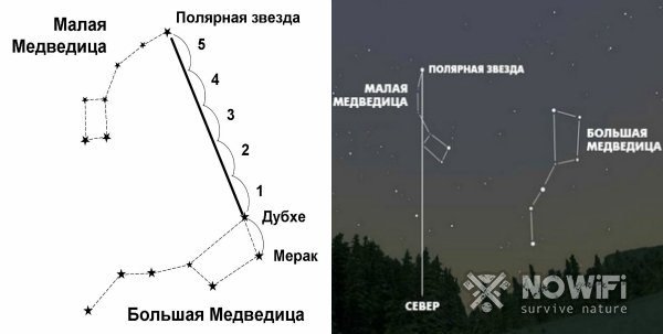 Малая Медведица Созвездие