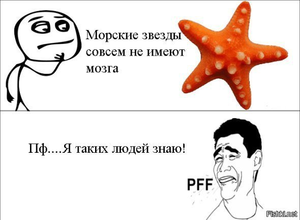 Анекдоты про звезды на небе