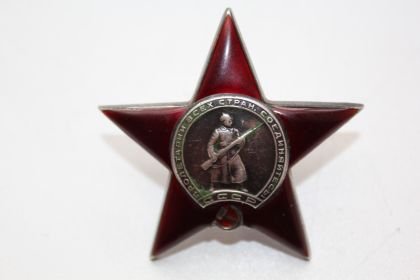 Георгиевская лента РНГ