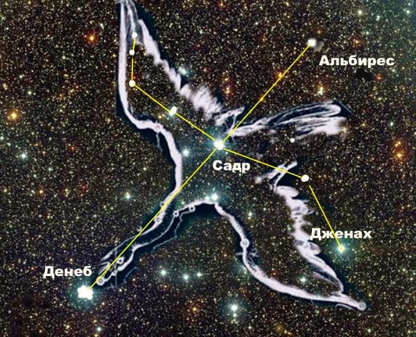 Денеб звезда в созвездии лебедя