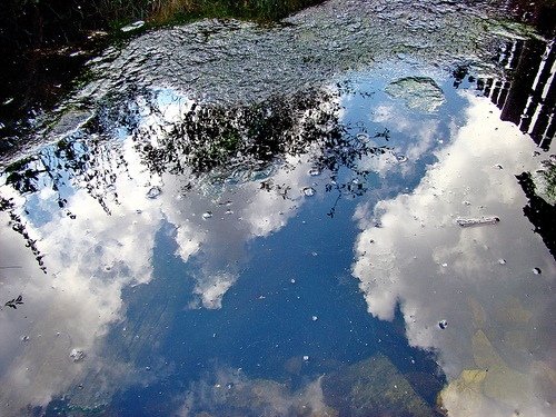 Дождевая вода