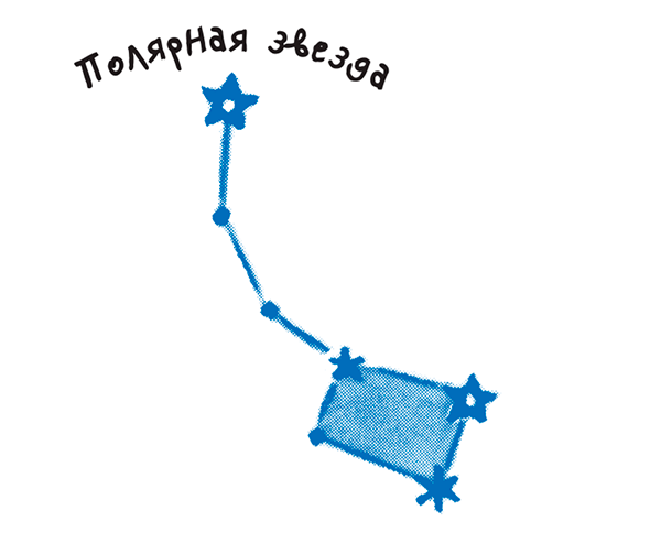 Созвездие малой медведицы схема