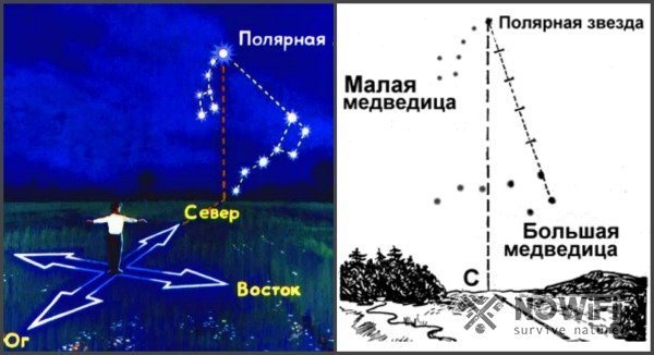 Созвездие большой медведицы и малой медведицы схема