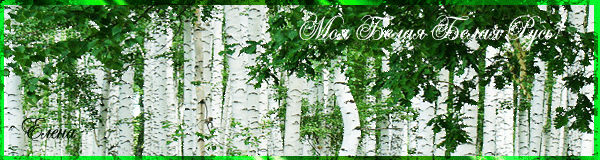 Береза Анимашка