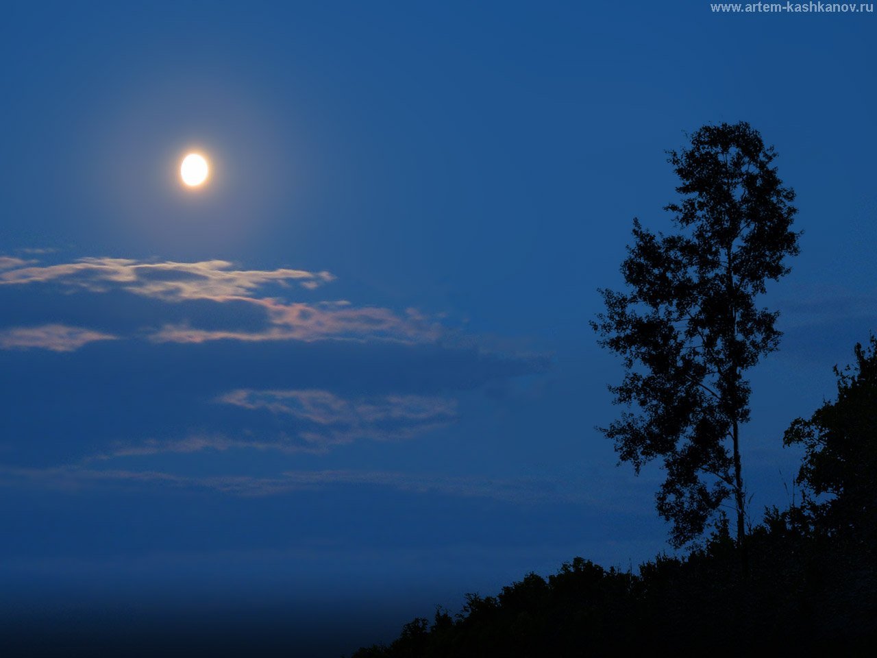 Светит луна там вдали. Ночное небо. Ночная тишь. Ночное небо с луной. Ночная Луна.