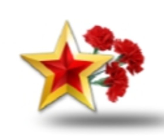 23 Февраля гвоздики