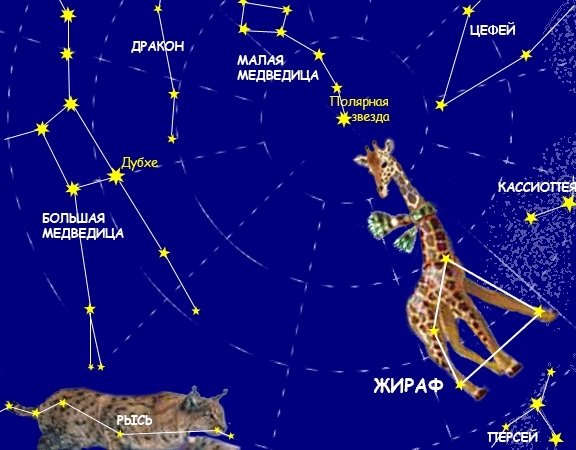 Созвездие Жираф