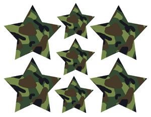 Звезда защитного цвета