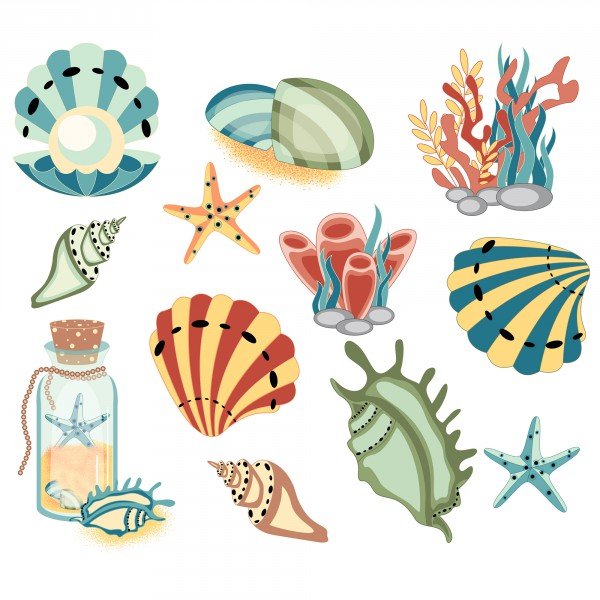 Наклейка ракушки и морские звезды