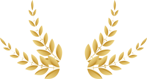 Картинки звезда с лавровой ветвью (52 фото)