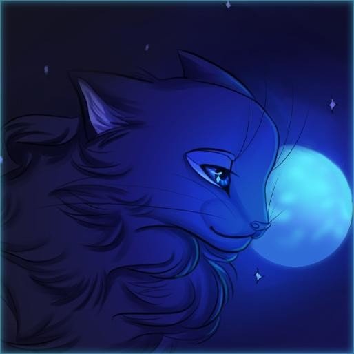 Коты Воители синяя звезда плачет