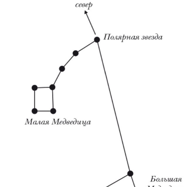 Звездное небо созвездия