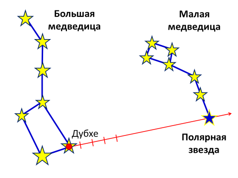 Медведь в космосе