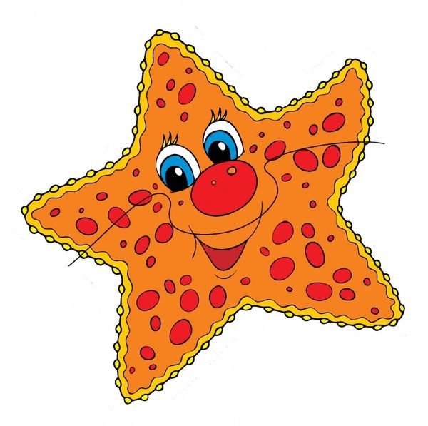 Морская звезда на белом фоне