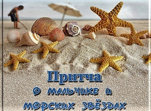 Морская звезда на берегу моря