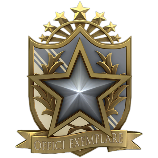 Медаль 2022 КС го