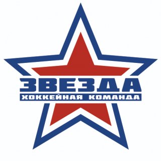 Зарница эмблема