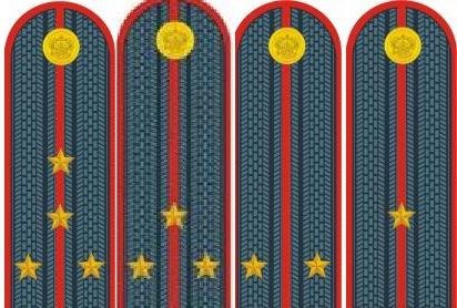 Старший лейтенант полиции погоны