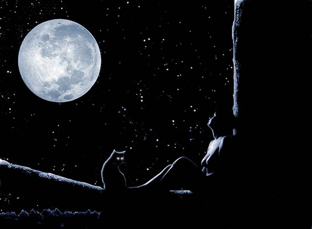Спокойной ночи темные ночи. Луна иллюстрация. Ночь Луна. Луна и звезды. Одиночество в ночи.